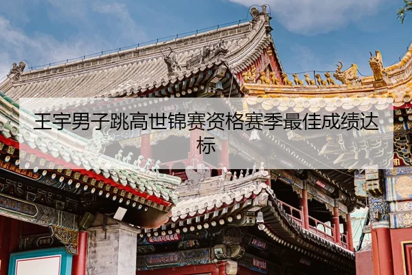 wang-yu-nan-zi-tiao-gao-shi-jin-sai-zi-ge-sai-ji-zui-jia-cheng-ji-da-biao-3-590.jpg
